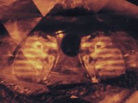 Gatekeeper - "Optimus Maximus"
