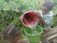 Arthur Chan - WWF Volunteer