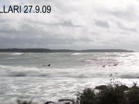 Pollarisurf by Mikki & Pepe