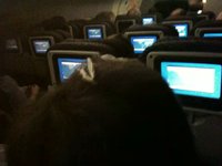 DON'T EVER FLY WITH US