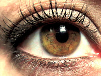 Eye See You