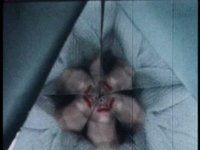 Abstraction and Distortion Clip 39 - Erwin Blumenfeld