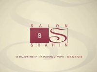 Shahin Version 5