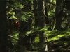 Freeride