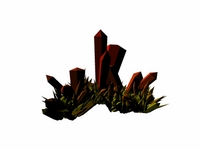 Polygonal Growth Experiments