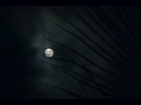 Terra de Negro