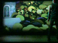 verion scene preview
