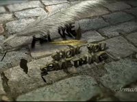 Showreel 2009
