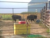 Winona Farm to School Event Raw Footage