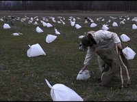 Ghost Bird Press Clip: Hunting