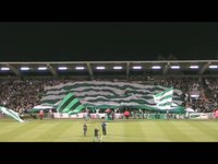 Display -v- Bohs