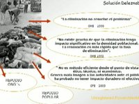 Sobrepoblación Canina