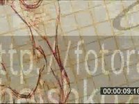 Proyecto4ç