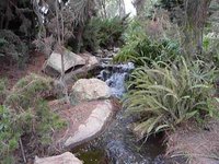 Waterfall at Wild Animal Park