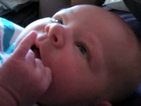 Sadie Birth and First Weeks