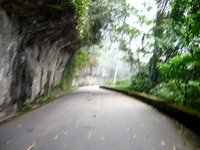 Paineiras