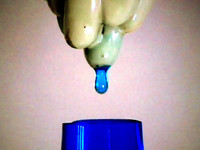 Blue Blood 1