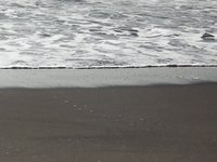 Views of the Shiranuka coast