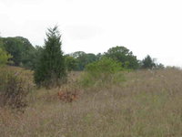 Lapham Peak Cross