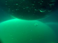 Float