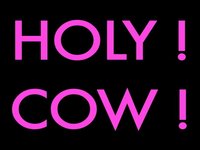 HOLY! COW! \\ REEL!