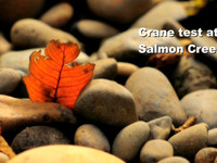 Salmon Creek w/ D90