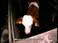 easy.vegan - gesamter Film