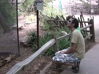 Derek Talking with a Bird at the Phoenix Zoo