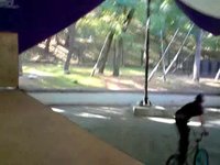 Some tailwhips and 360s