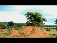 the field sesh