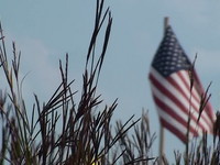 Energy Grasses: From Field to Furnace at the 09 Farm Progress Show
