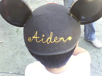 Aiden Goes to Disneyland