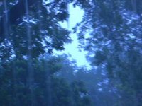 it rained