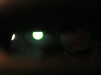 chillin in a car