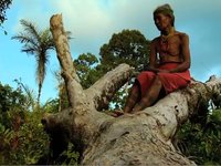 The Mentawai