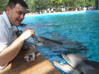 David Feeds A Dolphin