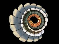 Sound Design for 'Video Art' by Gyu Kim