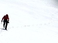 Andy Parkin - A Life in Adaptation. (Art & the Alps)