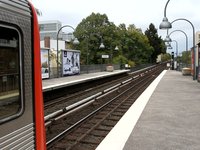 7d test