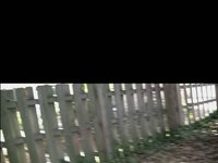 Steadicam Prototype Test Comparison