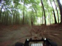 RC Car onboard cam in the forest