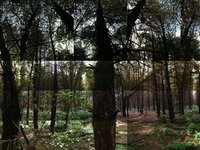 Test - Tree joiner hd