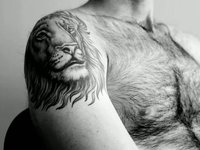 Words become images: Leonine