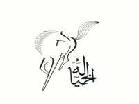 Alkaheda airlines