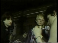 Bush Tetras - Too Many Creeps