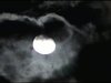 Loony Luna