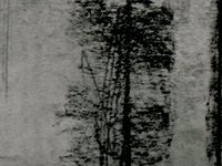 Rubbings