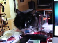 7D Video Test