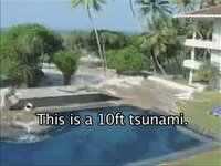Tsunami Warning - What you need to know.