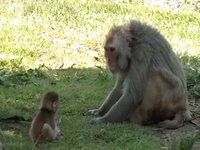 Mouthing off